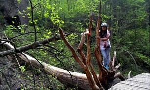 毕业旅行致青春,毕业旅行之深圳