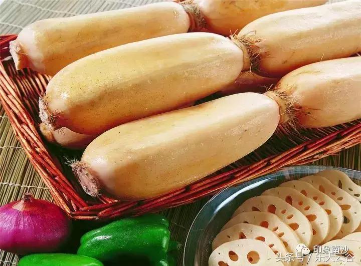 元旦南沙去哪里玩,南沙黄山鲁森林公园游玩攻略