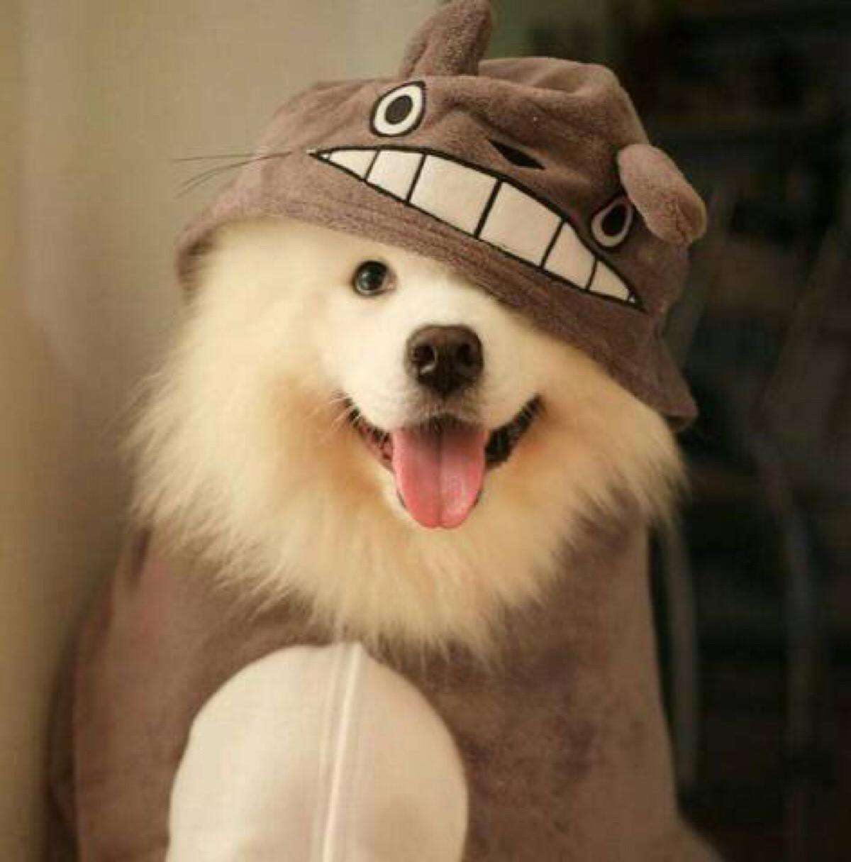 南宁梦之岛打折视频,梦之岛商品打折