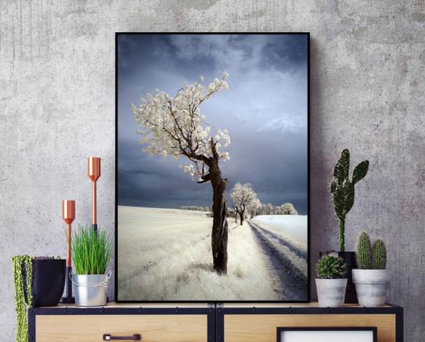 拒绝吸盘!史上最靠谱的免打孔自救指南,伤墙一分算我输