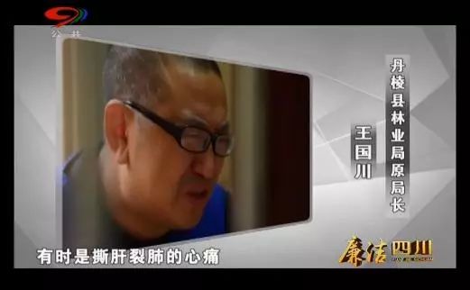 局长找人管9个小金库，还让整点“野味儿”