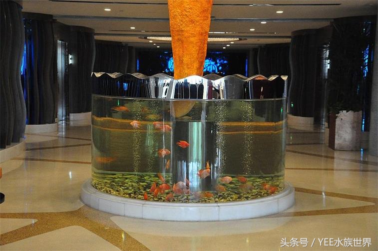 水族箱种类及优缺点,水族箱有几种品牌