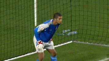 门将里的任意球大师,守门员任意球大师