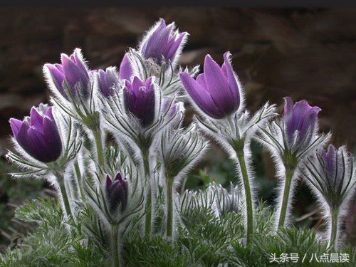 秦汉三国两晋南北朝朝代顺序,三国两晋南北朝具体时间划分