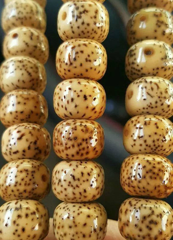 星月一个星期盘玩效果,星月三个月盘玩效果