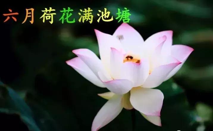 2021绝版绝美挂历,2018精美挂历有吗