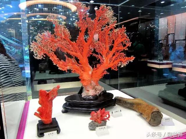 台湾红珊瑚的功能与主治,红珊瑚是佛教的七宝之一