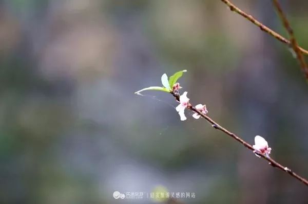 2018年你要如何过,2018你想做什么