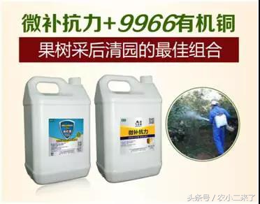 铜制剂？到底是什么东西？有什么用？