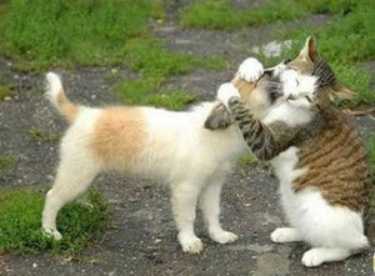 全球十大逆天神剧,历史上92部逆天电影