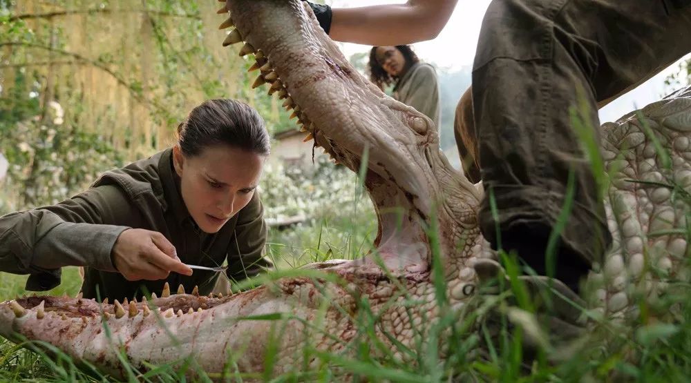 2018好莱坞大片都在这，整整28部