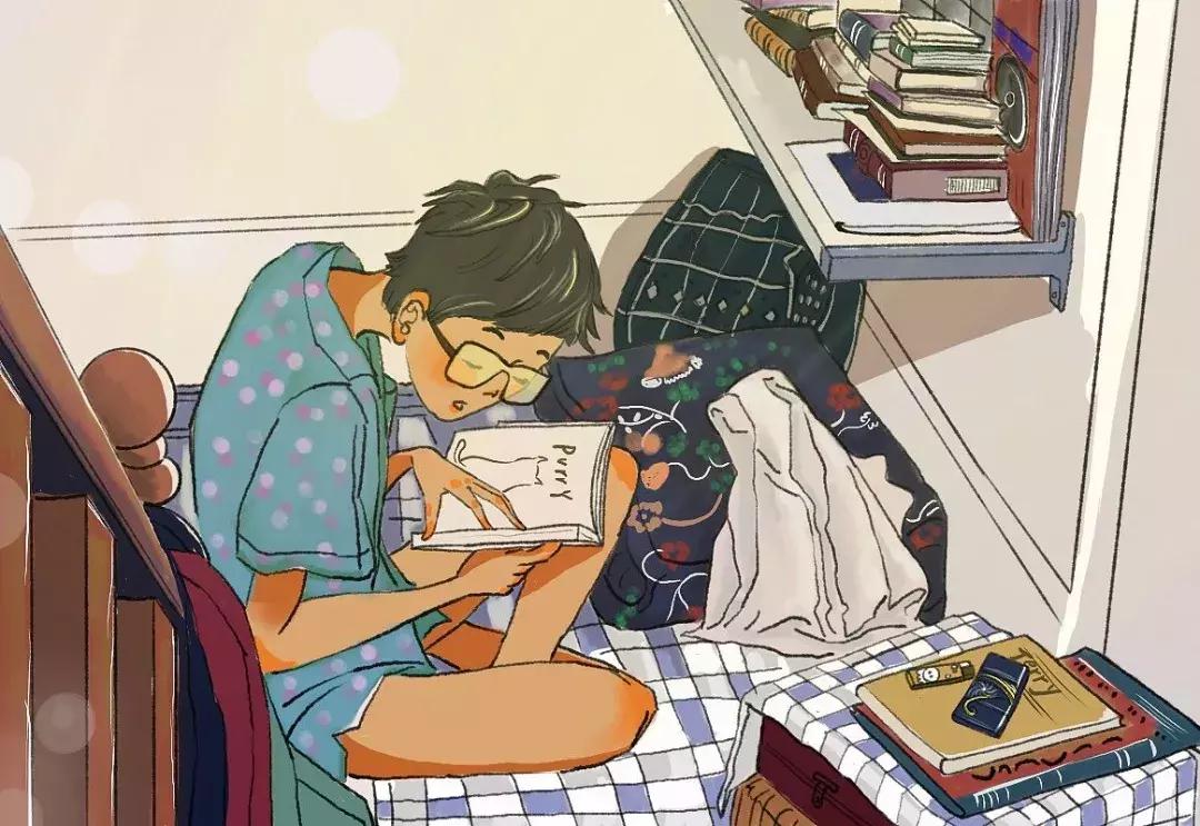 你今天养猫了吗,吸猫是怎么回事