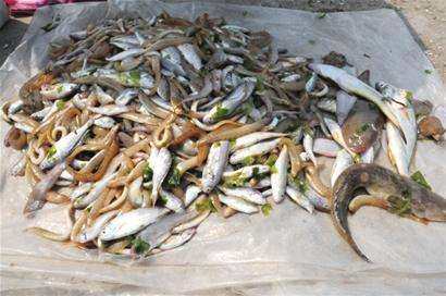 抖音直播捕鱼赚钱,3名网红直播撒网捕鱼