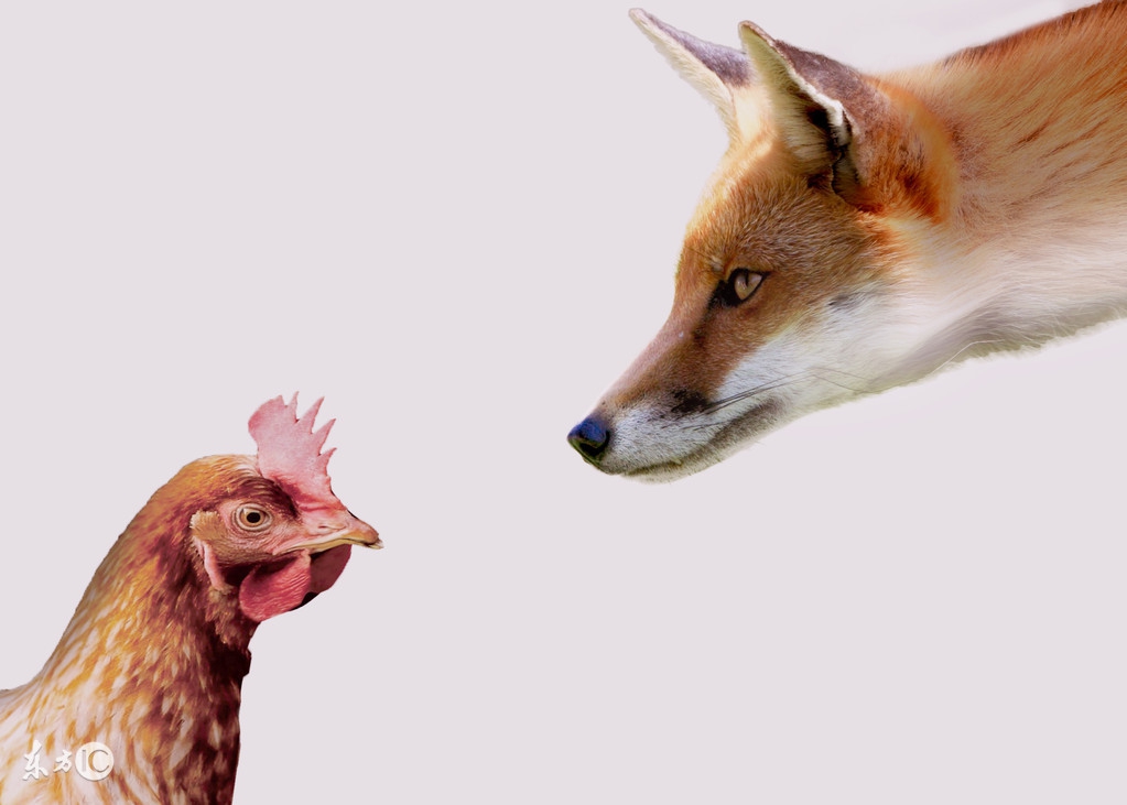 2019必背成语大全,成语归类大全及总结解读