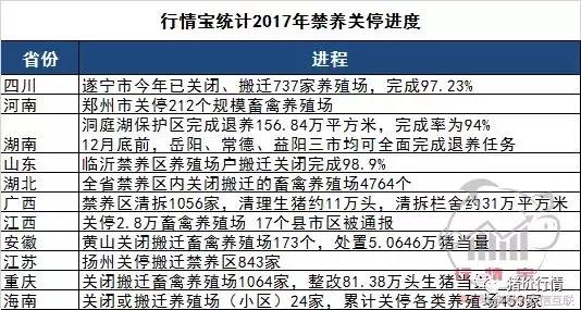 今日猪市深度解析,2023年下半年猪市行情分析