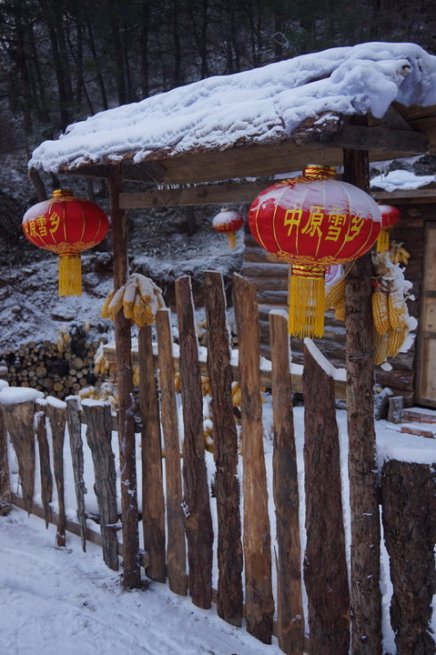 中原区有雪吗,中原雪乡在哪里