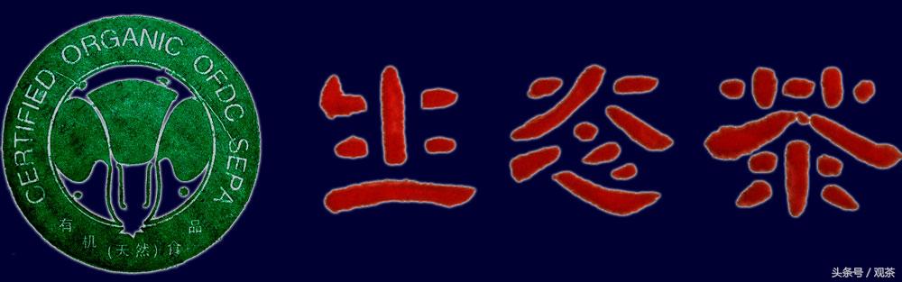 普洱茶七子饼茶有哪些,普洱茶七子饼从何而来