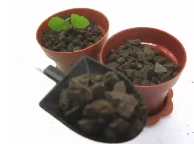 网红美食脏脏包到底是什么,脏脏包网红食物测评