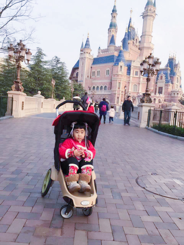 上海迪士尼吃住玩儿省钱攻略,上海迪士尼吃住行旅游攻略