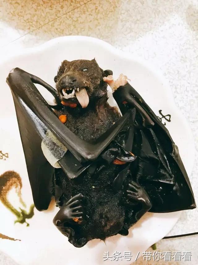 日照帕劳旅游攻略,旅游推荐旅拍