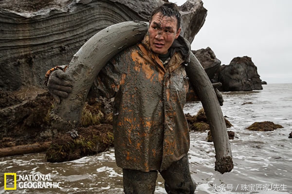 象牙禁令前收藏的象牙,哪一年开始禁象牙