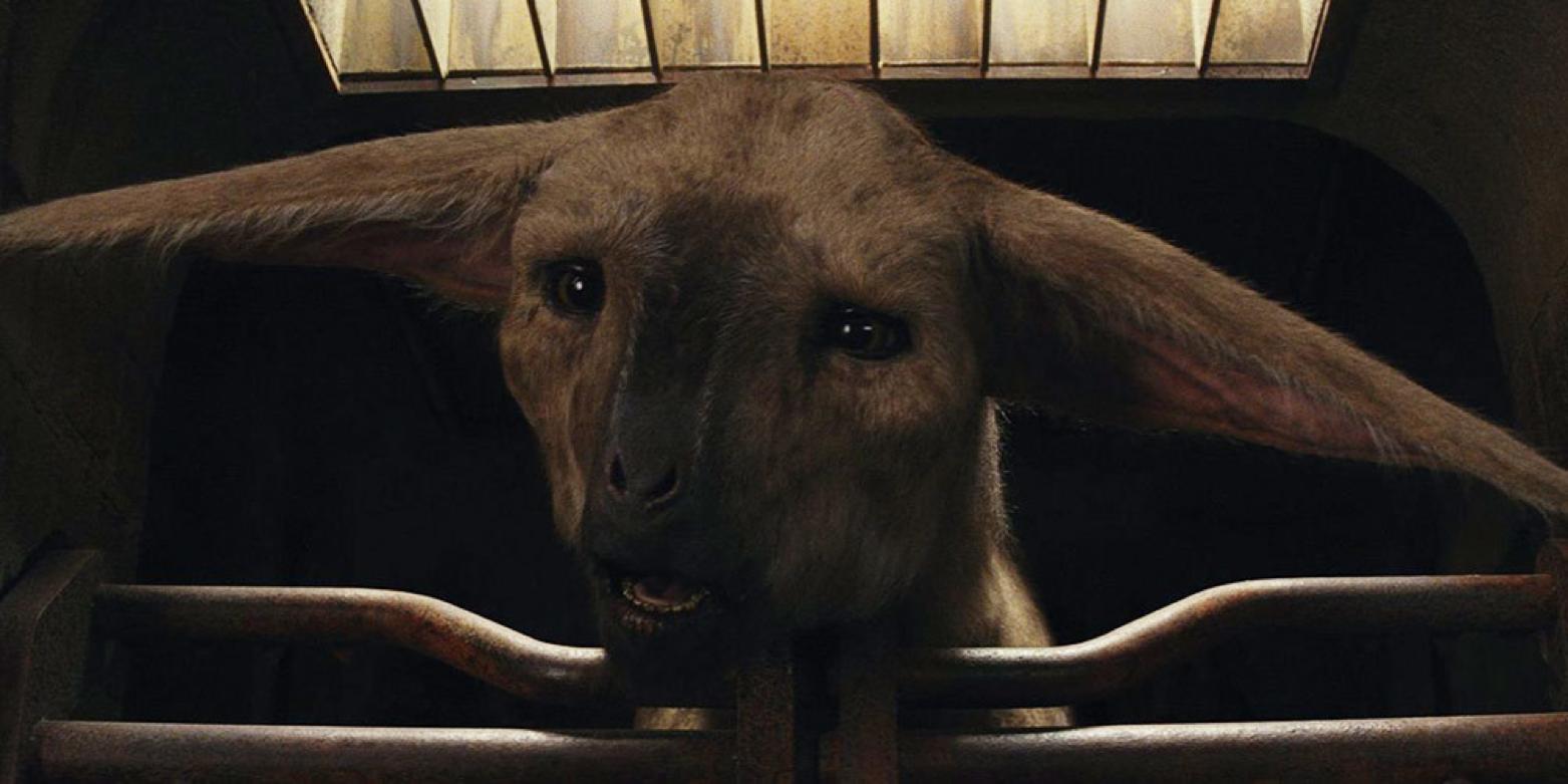 星球大战电影哪几部值得看,看星球大战预告片反应