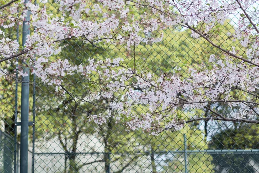 留在这座城市的理由常州,常州是一座来了就不想离开的城市