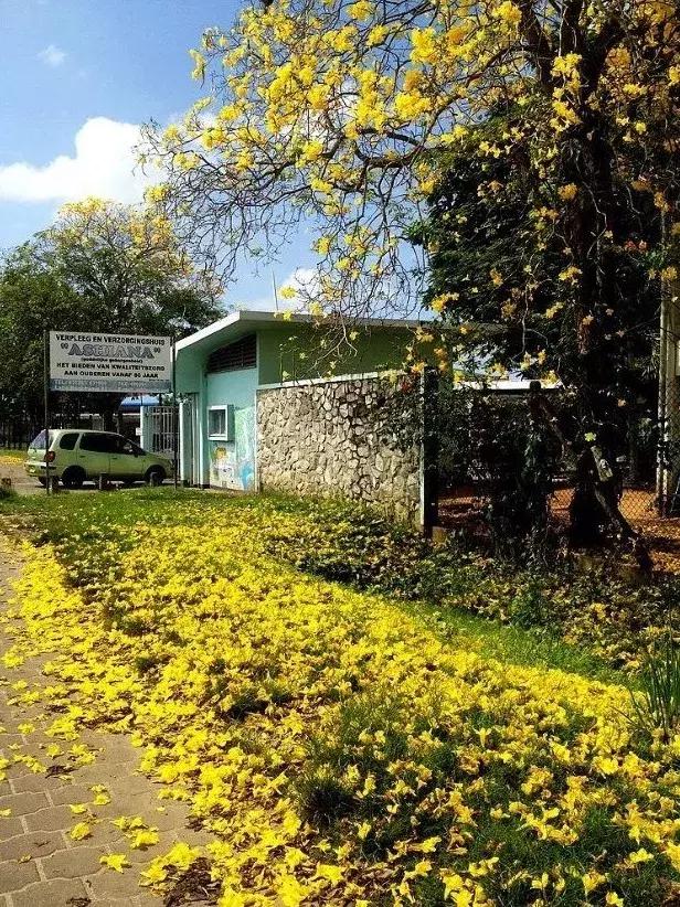 中国护照免签落地签国家,2022中国护照落地签证免签