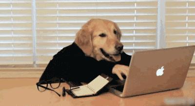 到底怎样才能点亮“黑暗”的编程生活？！