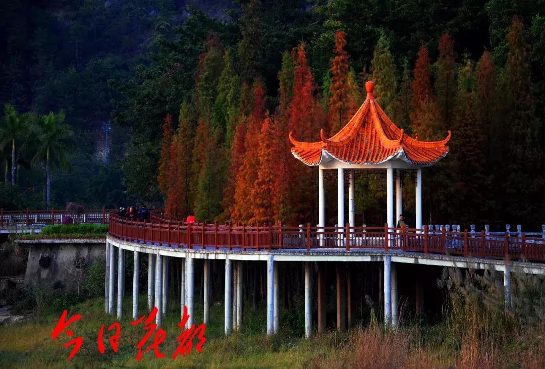 花都芙蓉嶂旅游景点,花都芙蓉嶂夜景