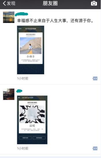 感谢支付宝官方回馈活动,支付宝年账单出来了说什么好