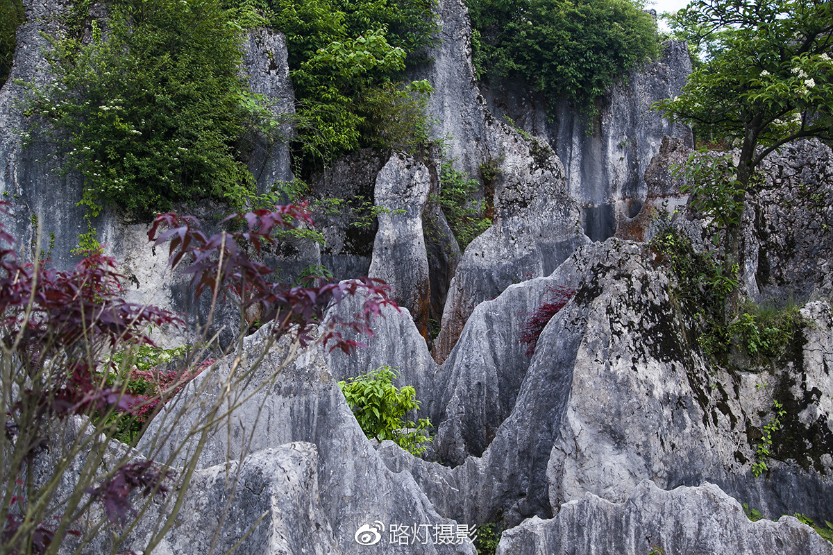 把喜欢的事做到极致诗句,能把喜欢的事做好