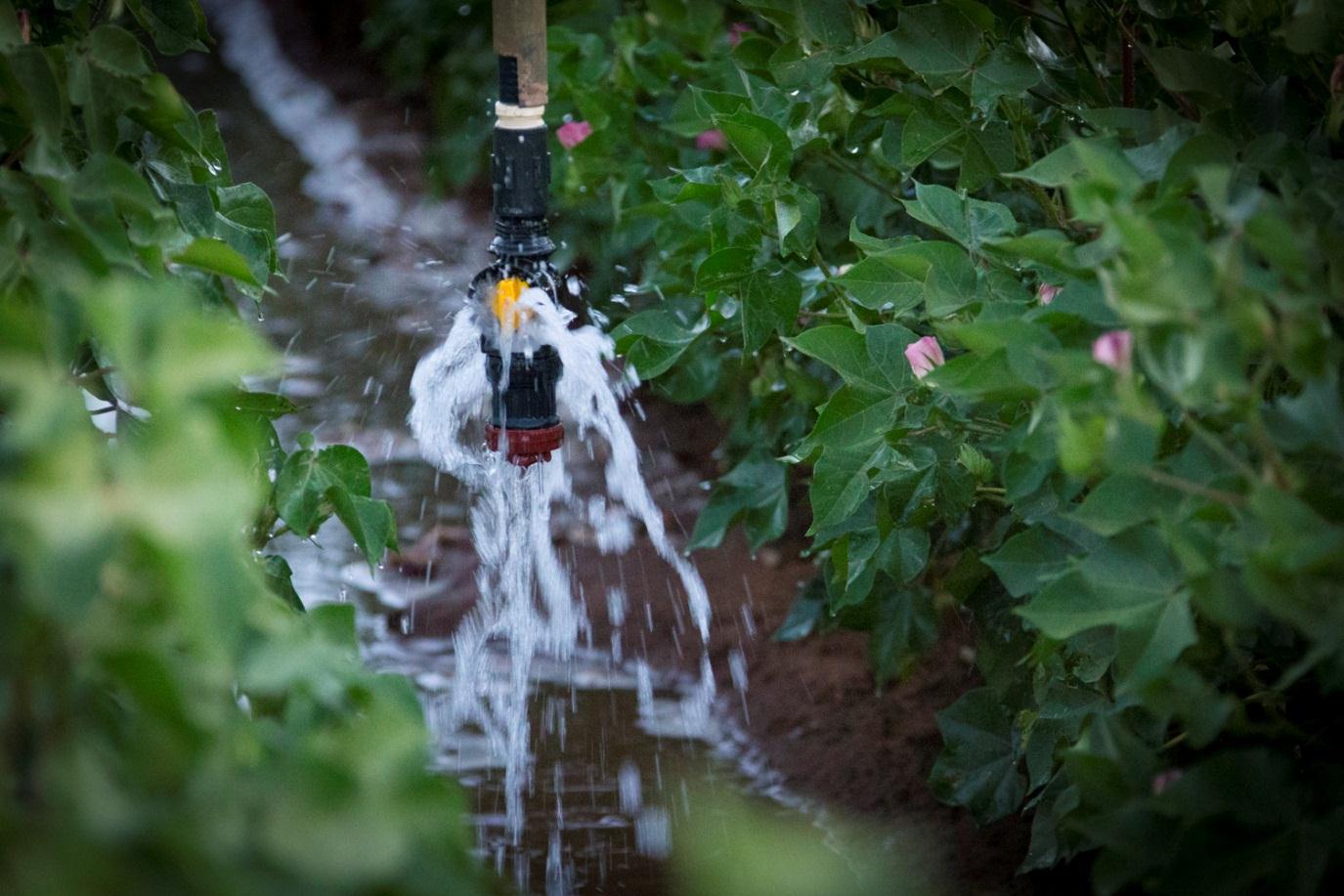 喷灌机喷头有哪些,喷灌机的喷头有哪些