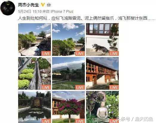 不管这“门”那“门”，我只说他的演技！