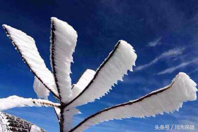 小寒成都有无寒潮降雪天气,各地降雪时间表来了