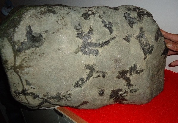 收破烂小伙得一千万,收破烂小伙买石头