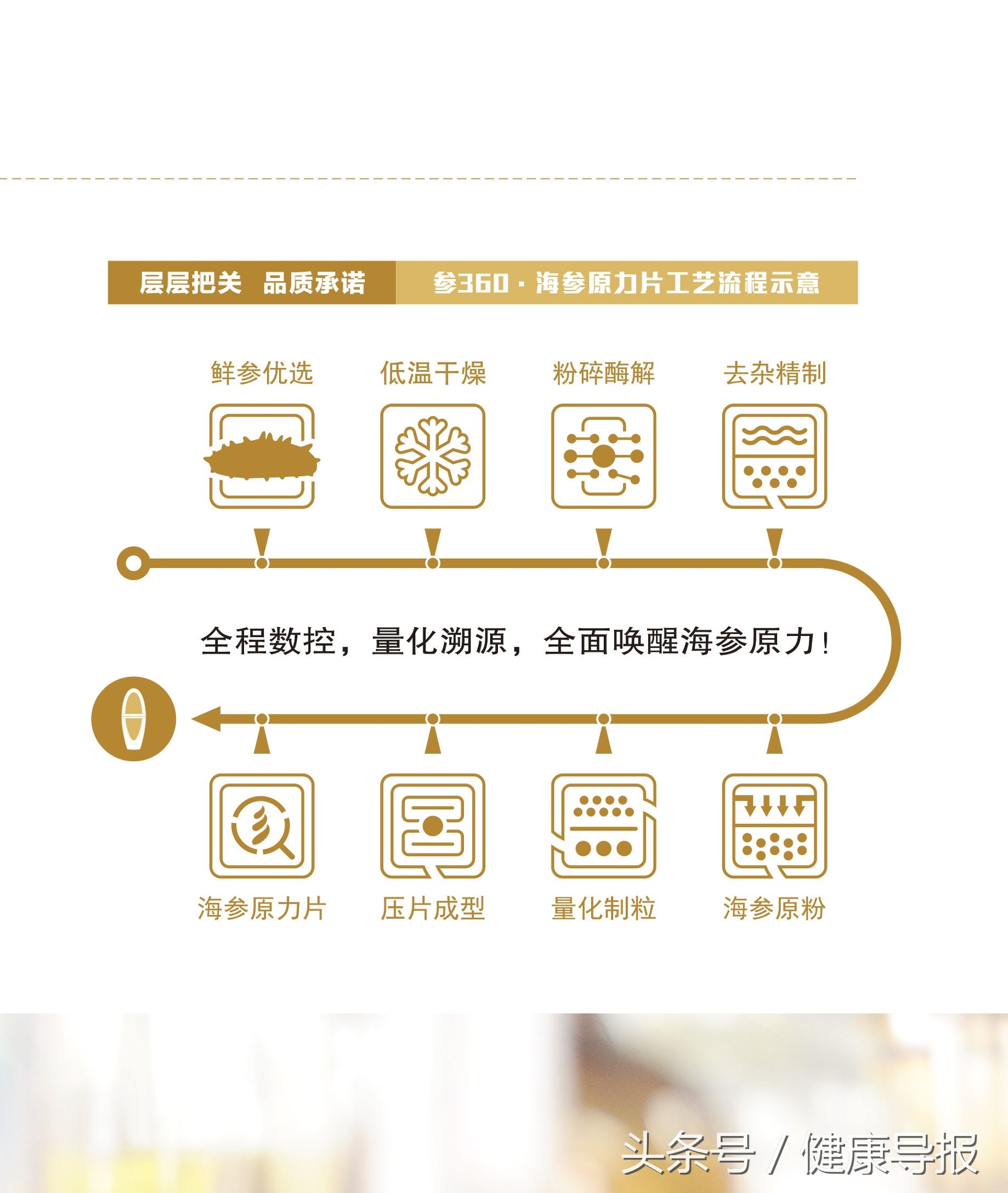 海参泡发以后怎么制作吃才有营养,海参六种简单吃法值得收藏