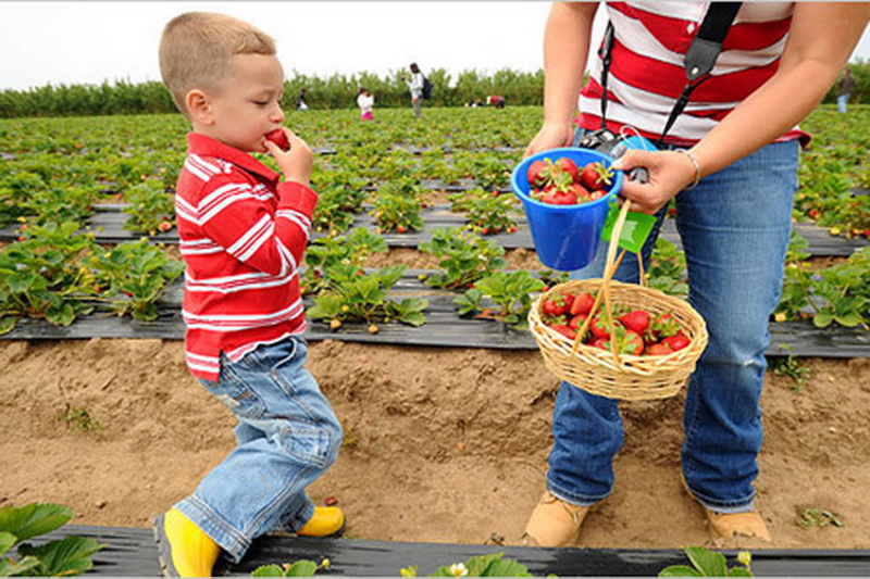 100个最火最好的创业项目推荐,创业未来最赚钱项目你想知道吗