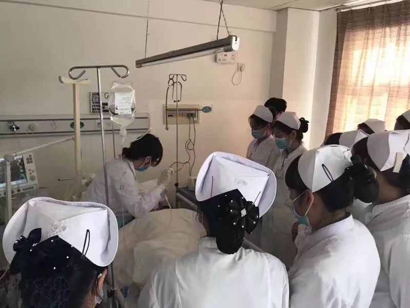 在剑川，有这样一群“上海亲人”！