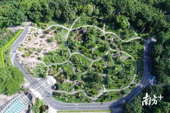 深圳新好玩的免费景点,深圳新出好玩的地方