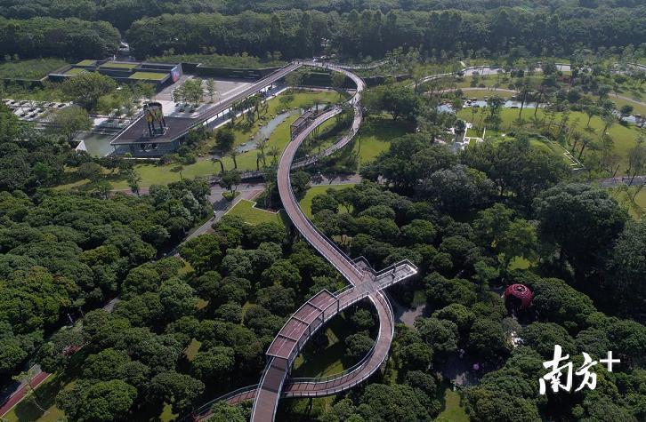 深圳新好玩的免费景点,深圳新出好玩的地方