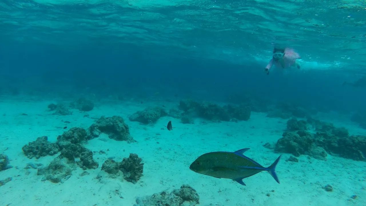 上午在广州捂白过严冬,下午在塞班岛放肆晒黑