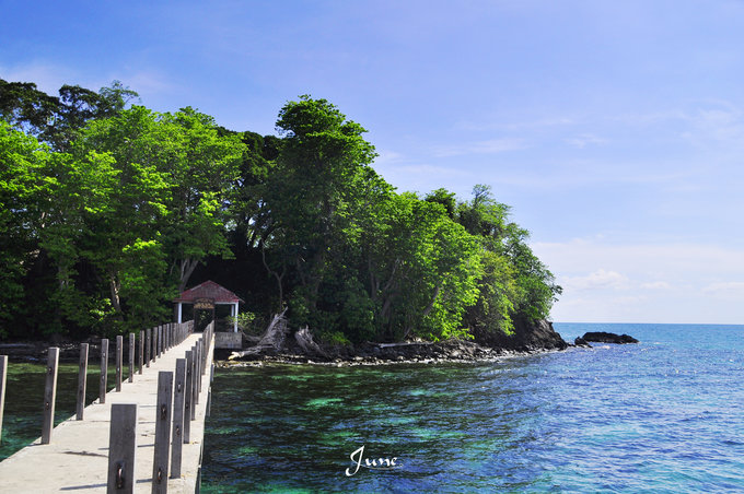 【一只熊的冒险】薄荷色夏日梦，马来西亚沙巴亚庇仙本那历险记——敦沙卡兰海洋公园（完）