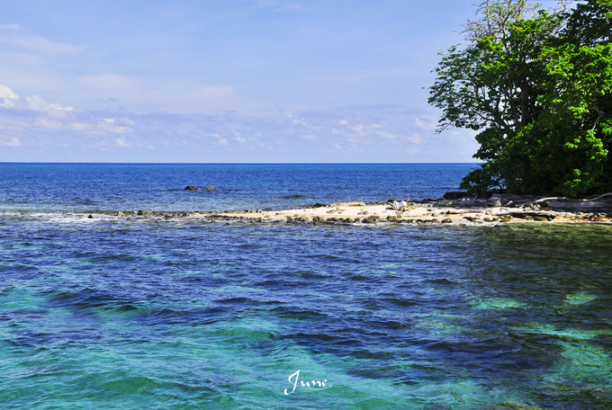 【一只熊的冒险】薄荷色夏日梦，马来西亚沙巴亚庇仙本那历险记——敦沙卡兰海洋公园（完）