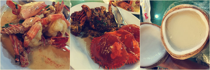 【一只熊的冒险】薄荷色夏日梦，马来西亚沙巴亚庇仙本那历险记——敦沙卡兰海洋公园（完）