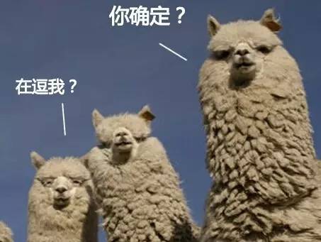 辣词|制杖、贩剑和搞矛,看到哪个脏词你娇嗔了