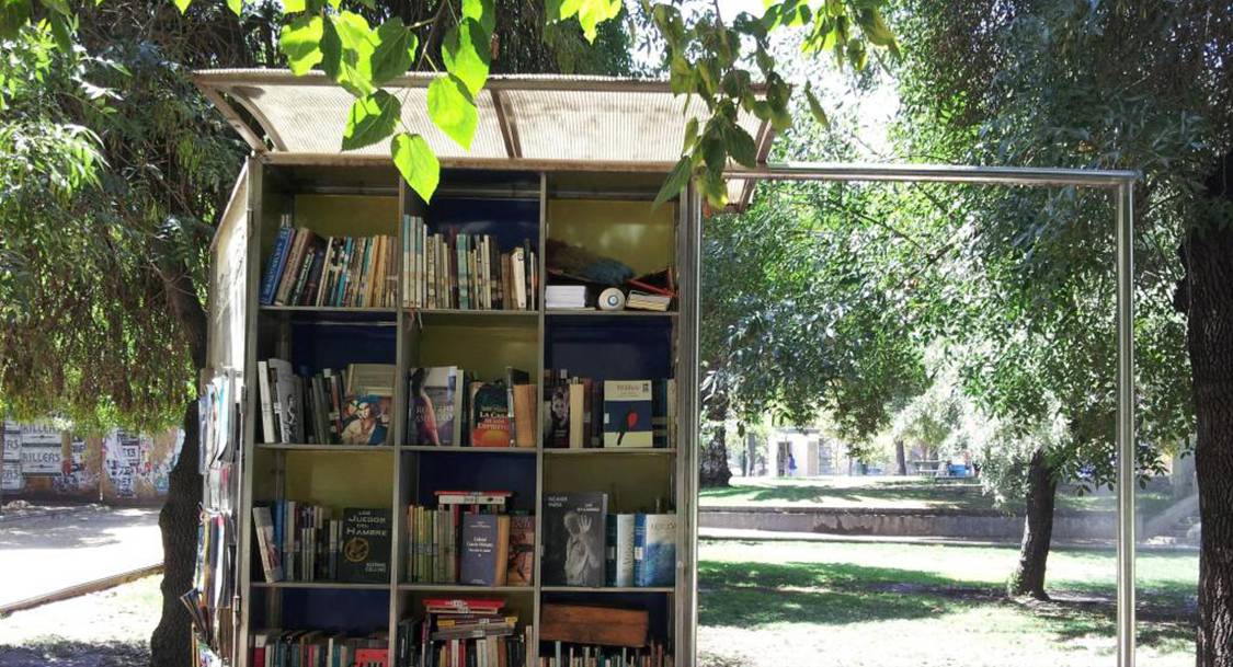 读书原来是最简单的事,读书是一件美好的小事