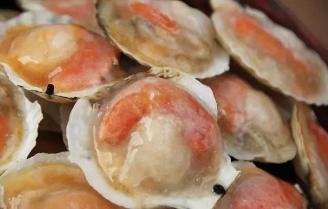 500元坐火车直达三亚!5月15日起本溪人去海南多了新选择!约起走吧!