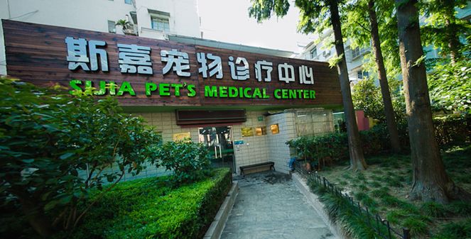 妙手仁心救我狗命锦旗,妙手仁心宠物医院