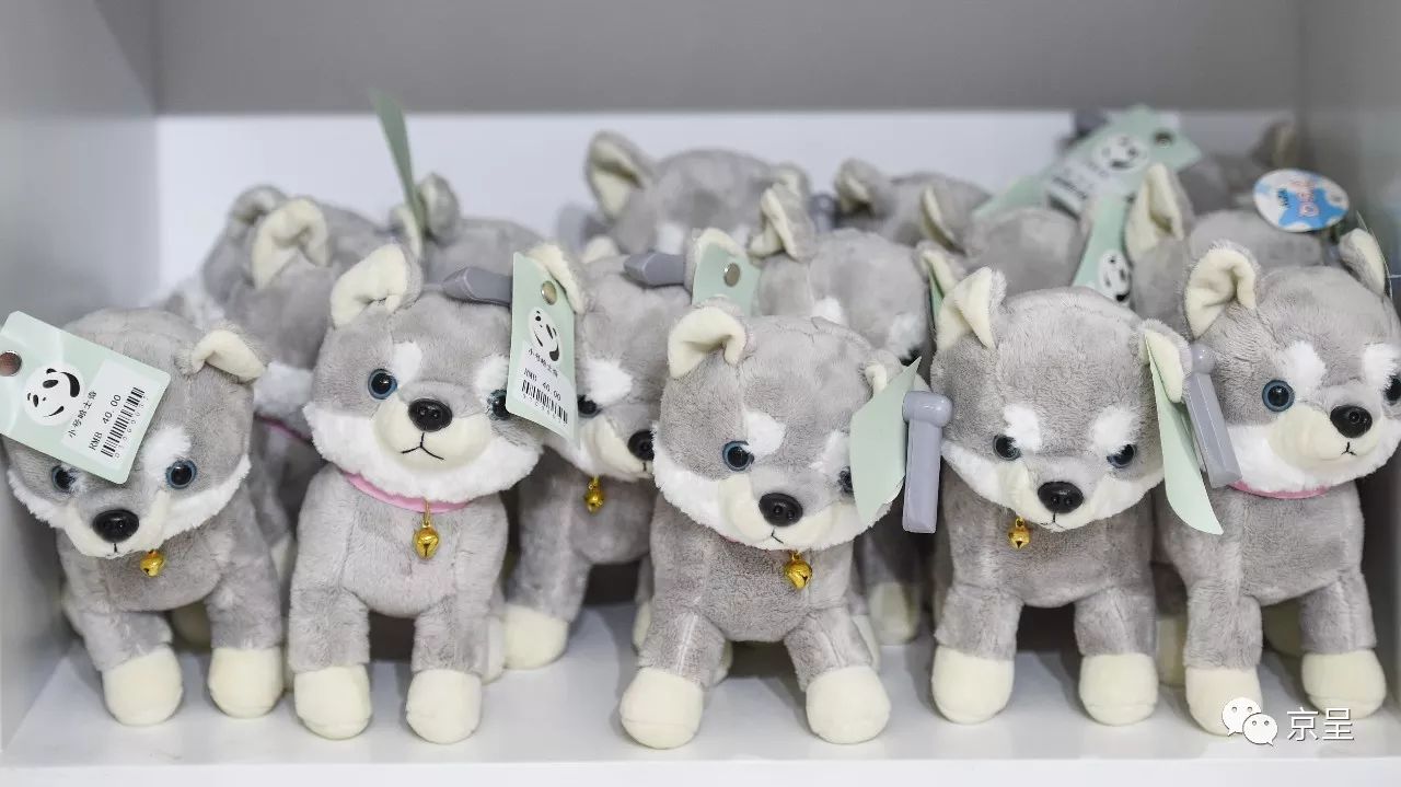 鹈鹕树懒食蚁兽?北京这家非主流玩偶店教你认认新萌物